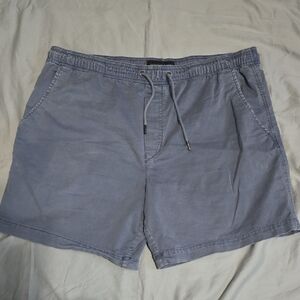 American Eagle Outfitters Men's Gray Flat Front Shorts